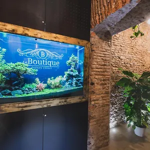 Le Boutique Luxury Diffused In Historic Center Guest house Fiumicino